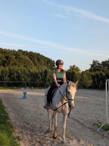 Écuries du Vendômois - photo 3