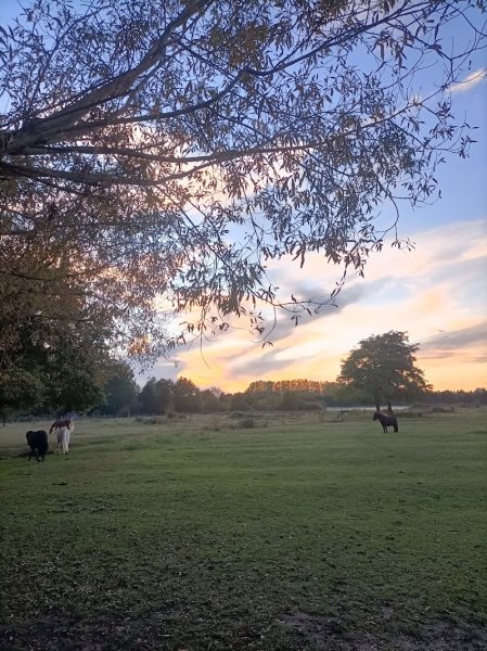 Centre équestre Ecuries Fouasserie