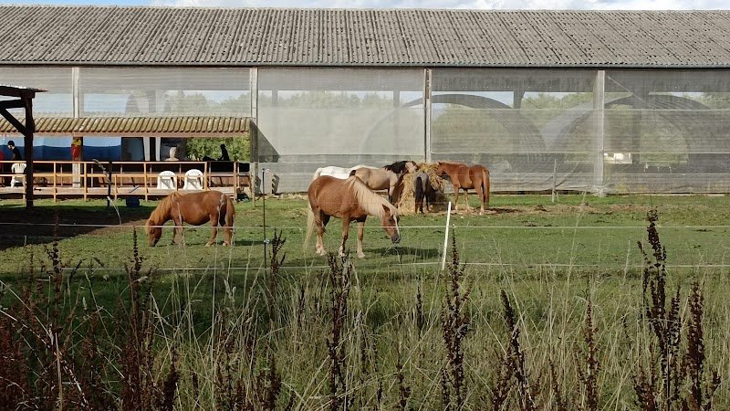 Centre équestre Ecuries Fouasserie - photo 2
