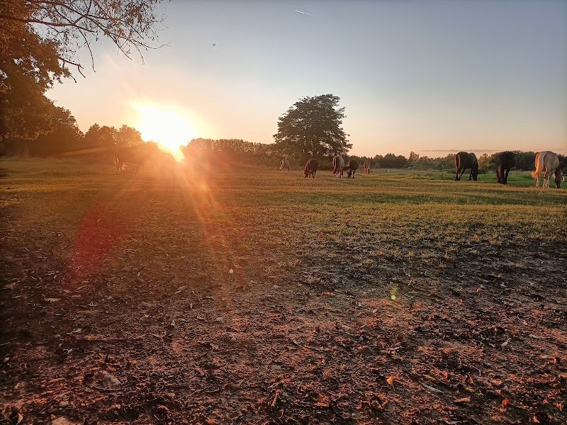 Centre équestre Ecuries Fouasserie - photo 3