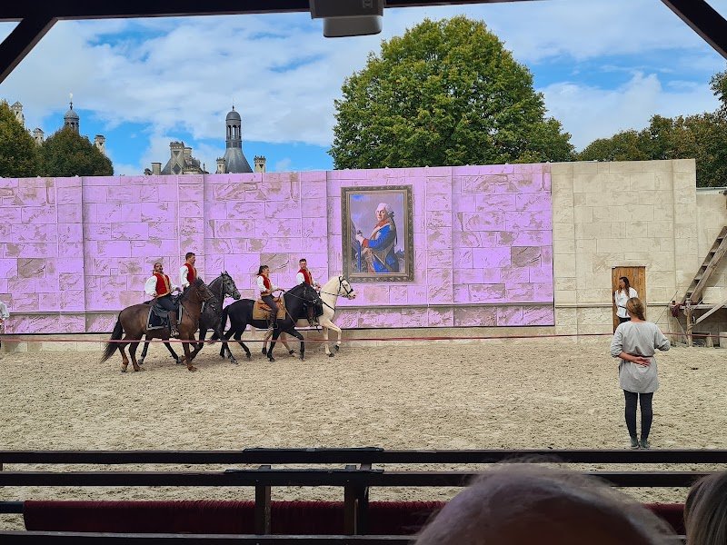 Écurie du Maréchal de Saxe - photo 1