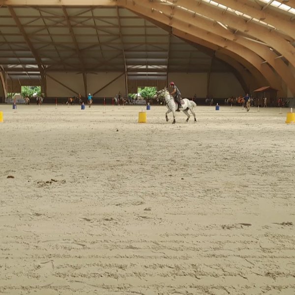 Parc Equestre Fédéral - photo 3