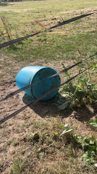Ecurie du château Gallouën - photo 2