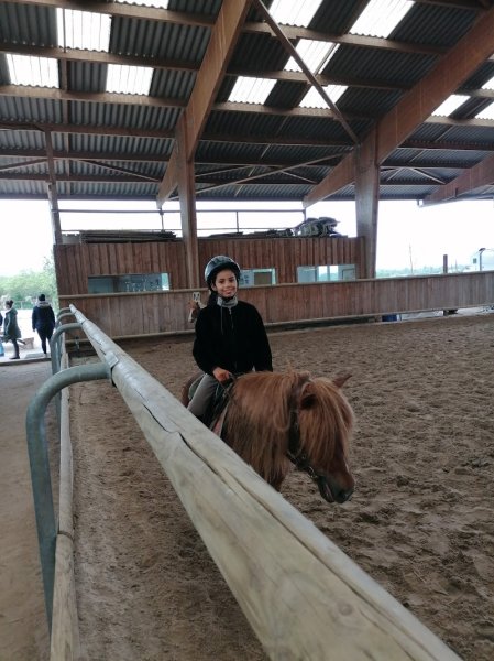 Ecuries D'Huisseau - photo 2