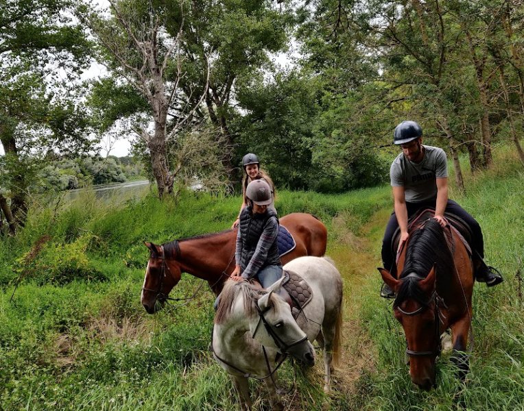 Les ateliers équestres