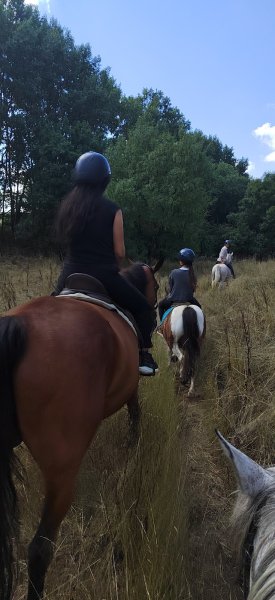 Les ateliers équestres - photo 2