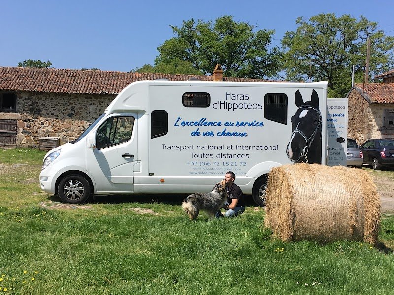 Hippoteos : Transport de Chevaux & Location 4x4, VL & Vans