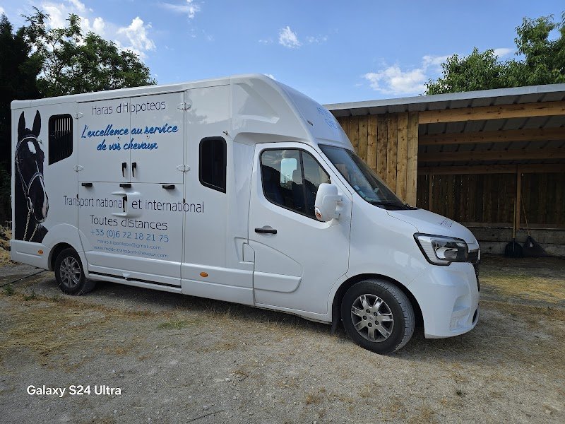 Hippoteos : Transport de Chevaux & Location 4x4, VL & Vans - photo 2