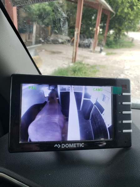 Hippoteos : Transport de Chevaux & Location 4x4, VL & Vans - photo 3