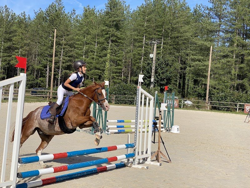 PONEY CLUB DE ROMORANTIN - photo 2