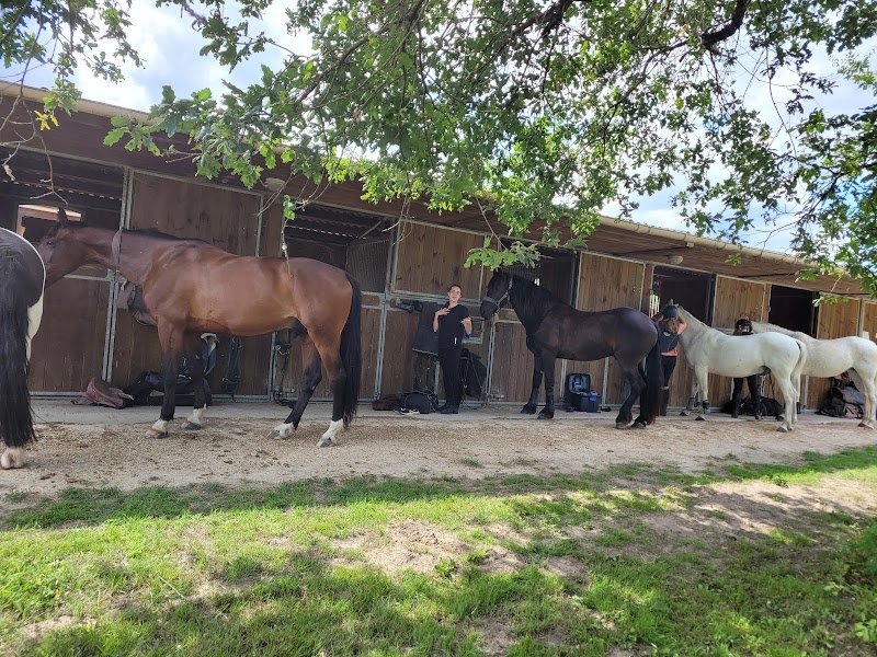 PONEY CLUB DE ROMORANTIN - photo 3