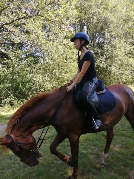 Centre Equestre du Vieux Château - photo 2