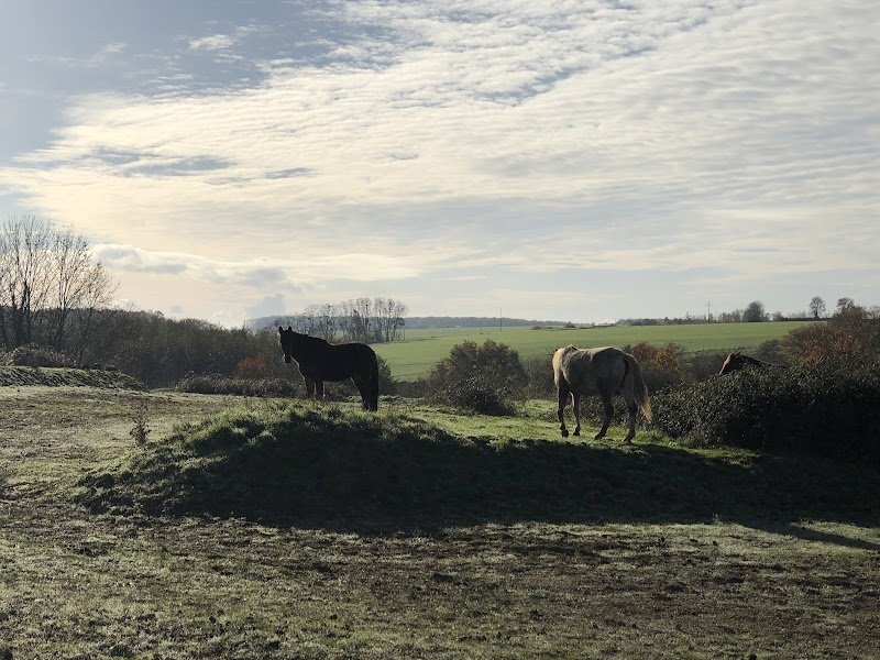 Écurie Équilibre - photo 2