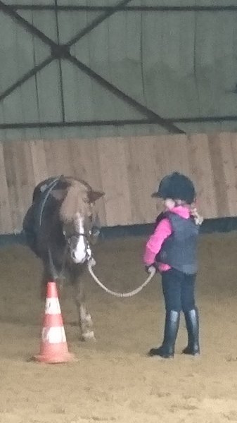 haras de brunel - photo 1