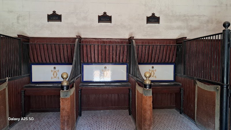 Écuries du Château de Chaumont - photo 2