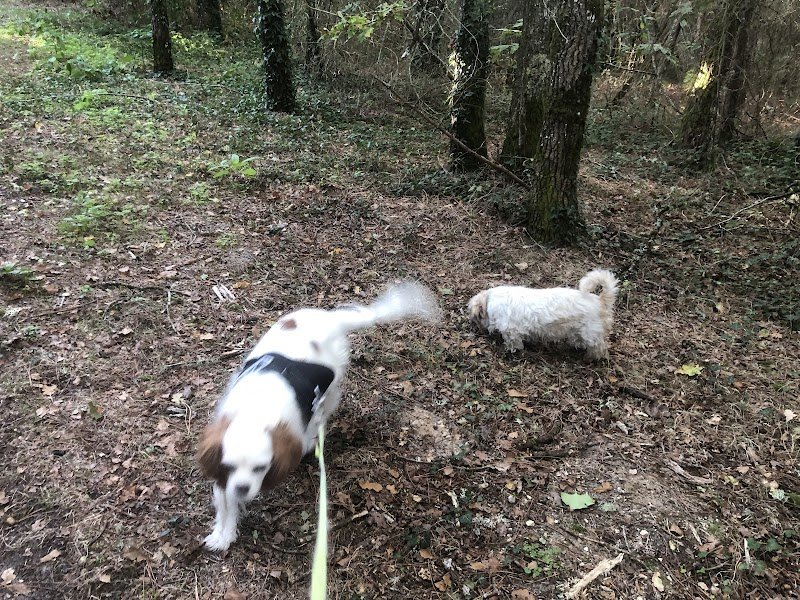 Pension du terrage SOUESMES - Fabien BERCOT - photo 1