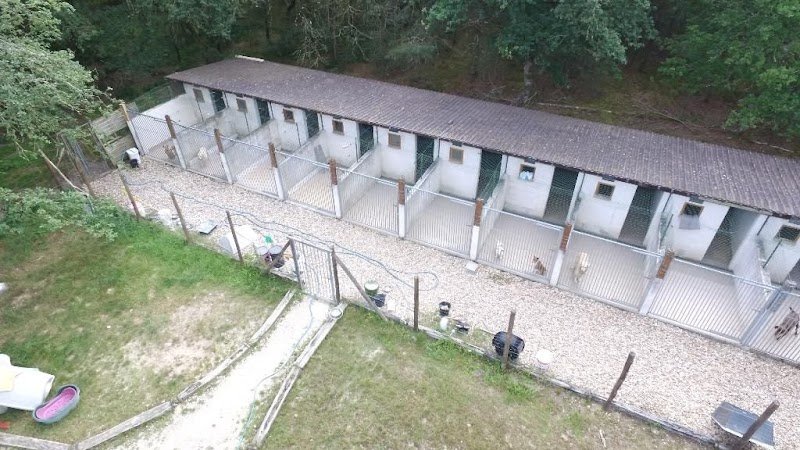 Pension du terrage SOUESMES - Fabien BERCOT - photo 2