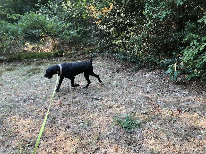 Pension du terrage SOUESMES - Fabien BERCOT - photo 3