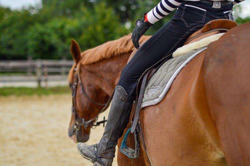 Les Écuries De La Rêverie - photo 1
