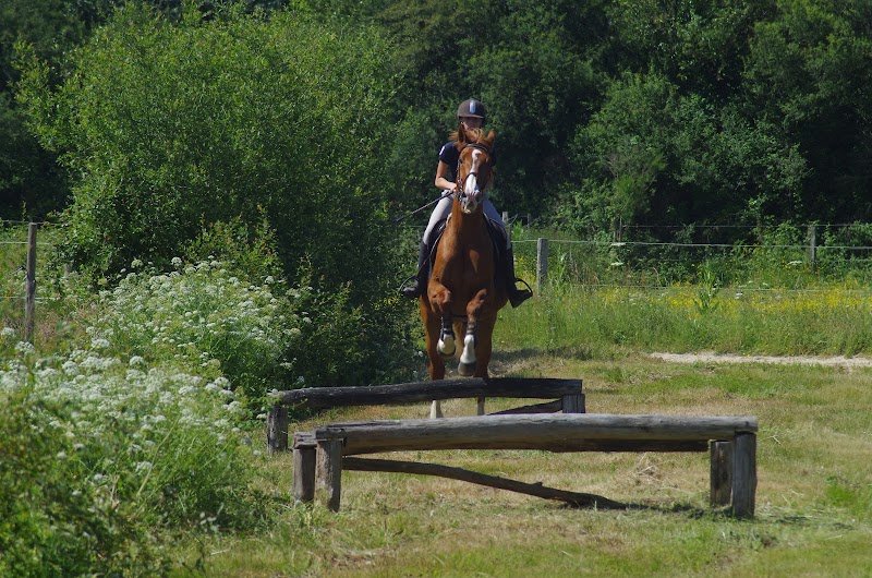 Les Écuries De La Rêverie - photo 2