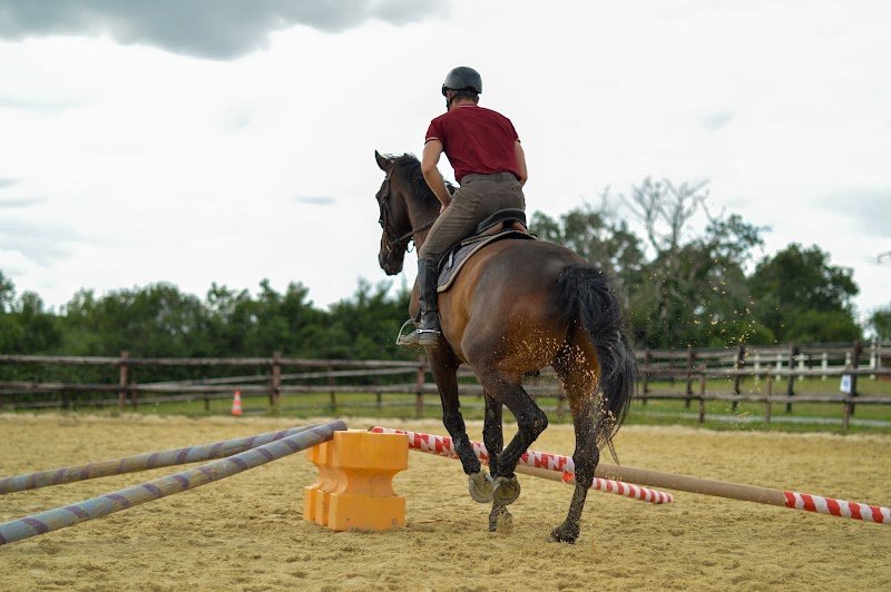 Les Écuries De La Rêverie - photo 3
