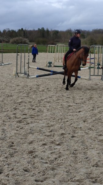 Association Equestre de la Poulardiére - photo 2