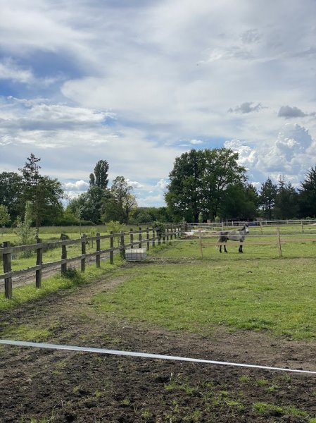 Écurie des Monteaux - photo 1