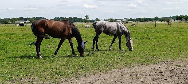 Écurie des Monteaux - photo 2