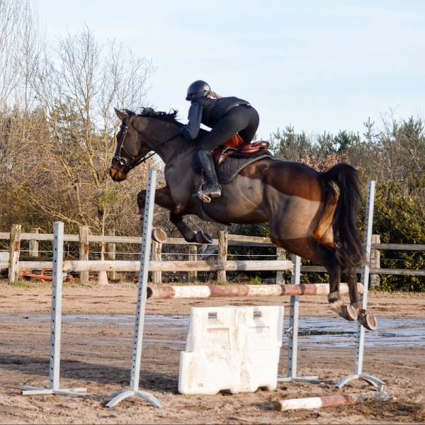 Écurie des Monteaux - photo 3