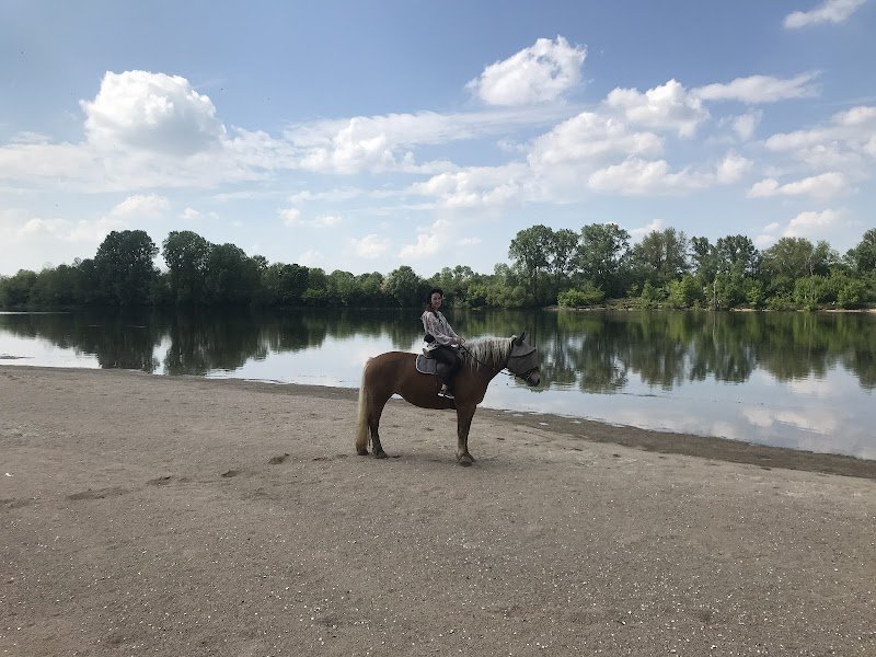 Centre équestre de Beaugency - photo 2