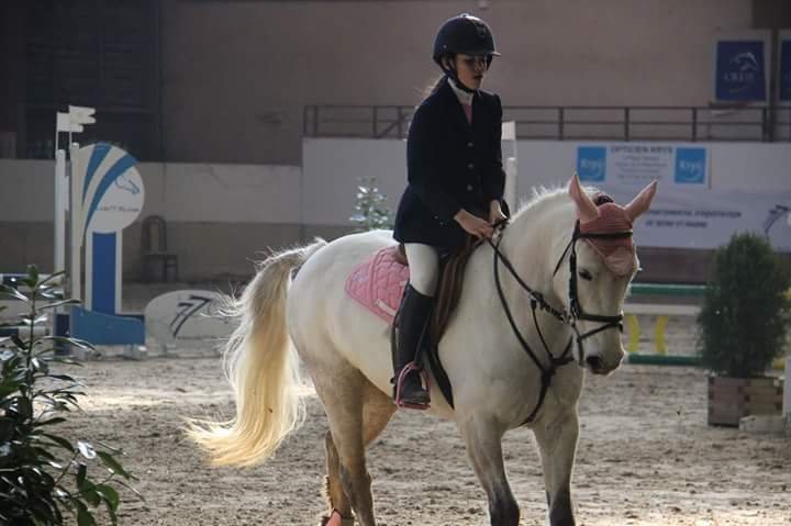 Ecurie Du Moulin De Coton - photo 2