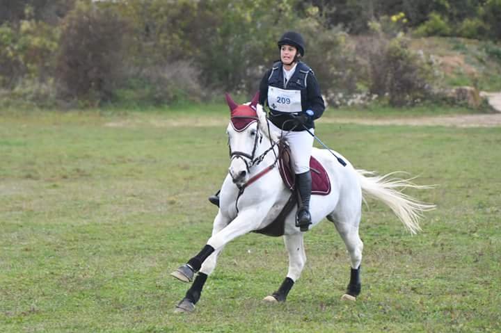 Ecurie Du Moulin De Coton - photo 3