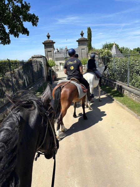 Cheval et Châteaux - photo 2