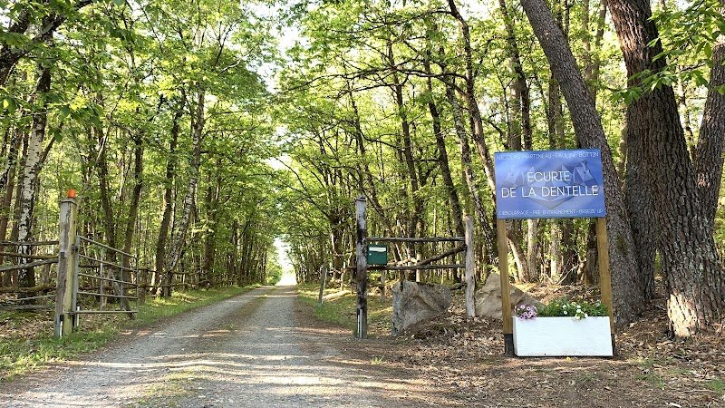 Écurie de la Dentelle