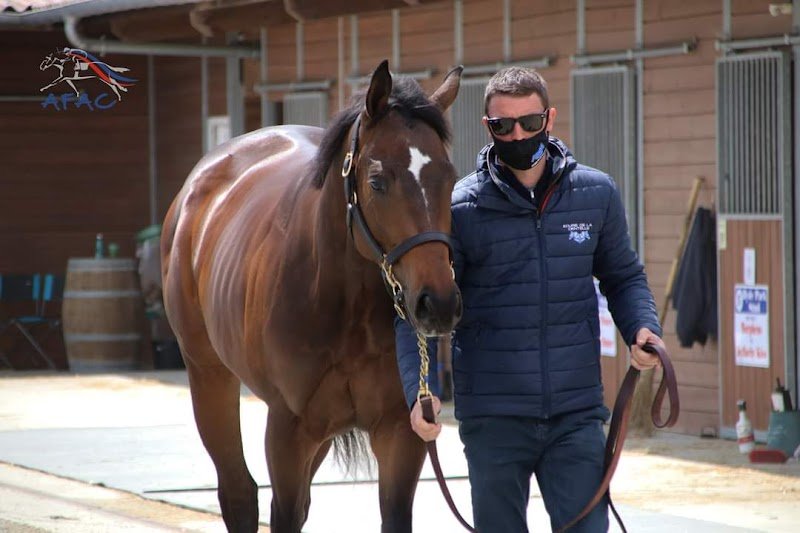 Écurie de la Dentelle - photo 3