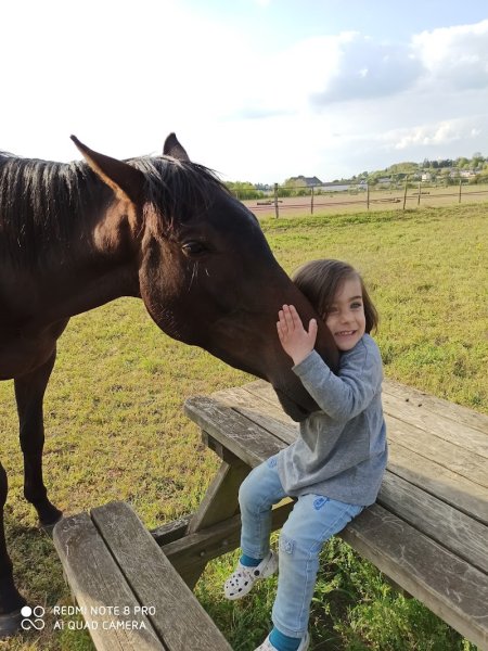 Centre Équestre l'Étrier Castélorien - photo 3