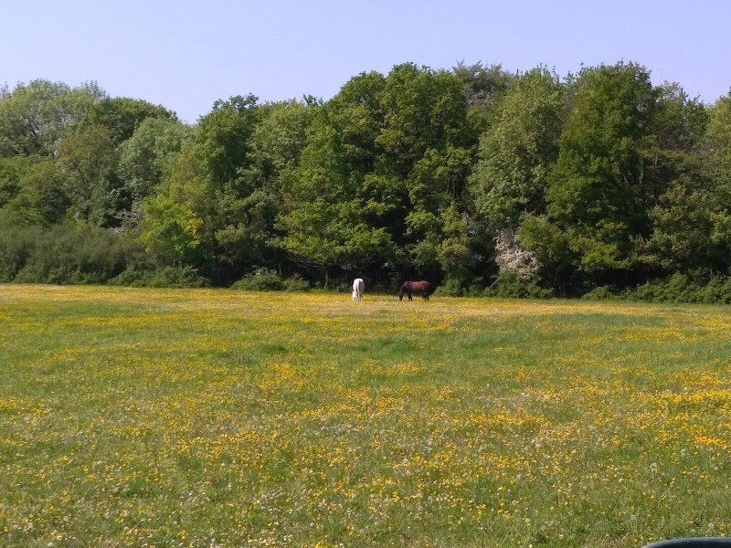 Haras du Loup - photo 2