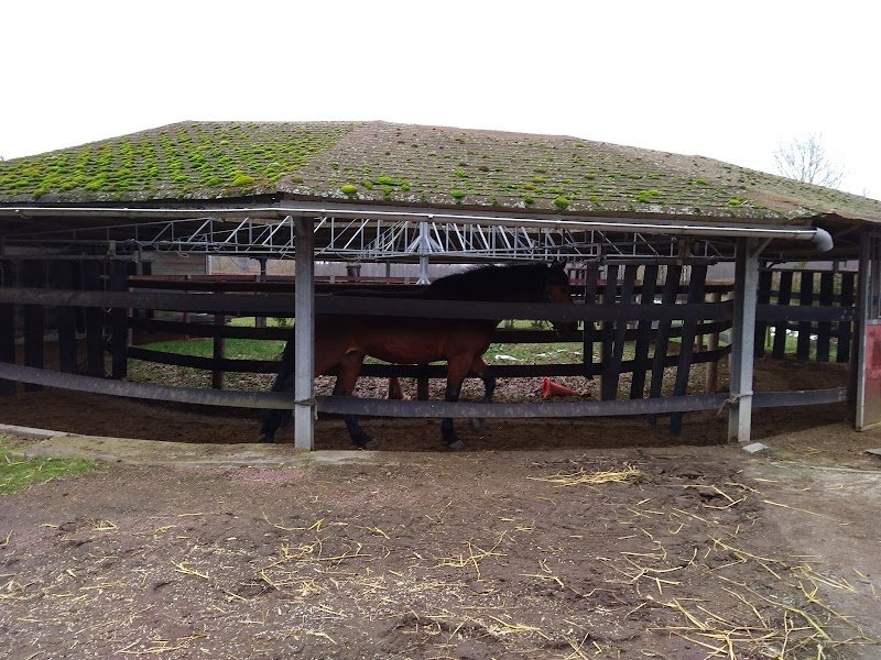 Haras du Loup - photo 3