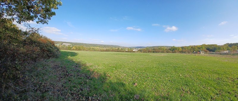 Ecurie Du Loup - photo 3