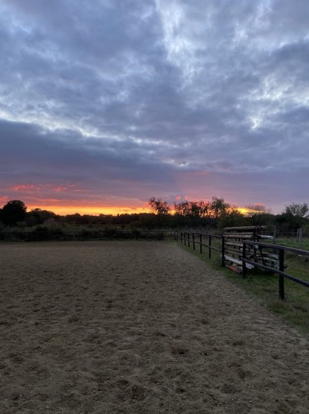 Ecurie de la Pièce aux Loups - photo 2