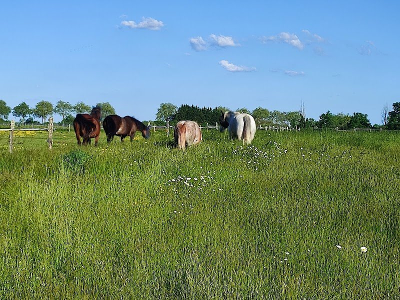 Ecurie de la Pièce aux Loups - photo 3