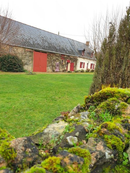 Haras des Hayes - photo 2