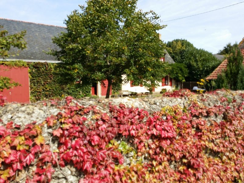 Haras des Hayes - photo 3