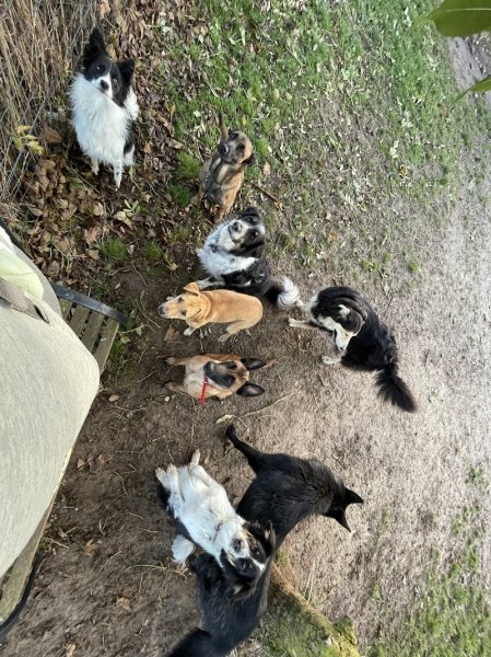 Pension des Bois Jolis - photo 1