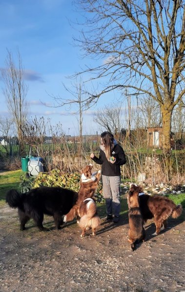 Pension des Bois Jolis - photo 3