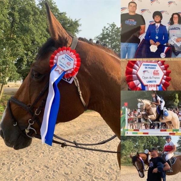 Centre équestre du Pic - photo 3