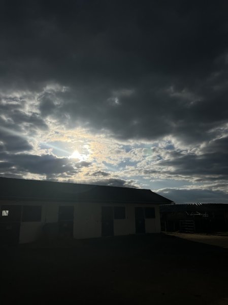 Écurie Léo Abrivard - photo 1