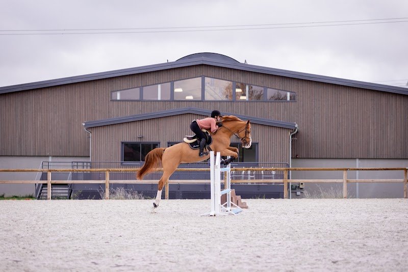 Les Ecuries du Lierre - photo 1