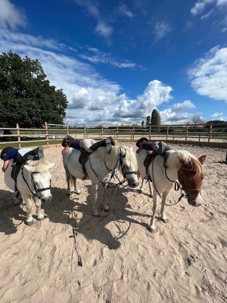 Les Ecuries de la Forêt