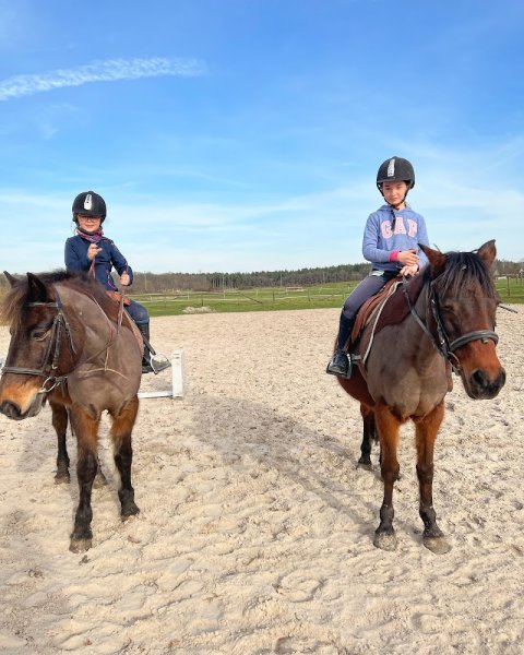 Les Ecuries de la Forêt - photo 2